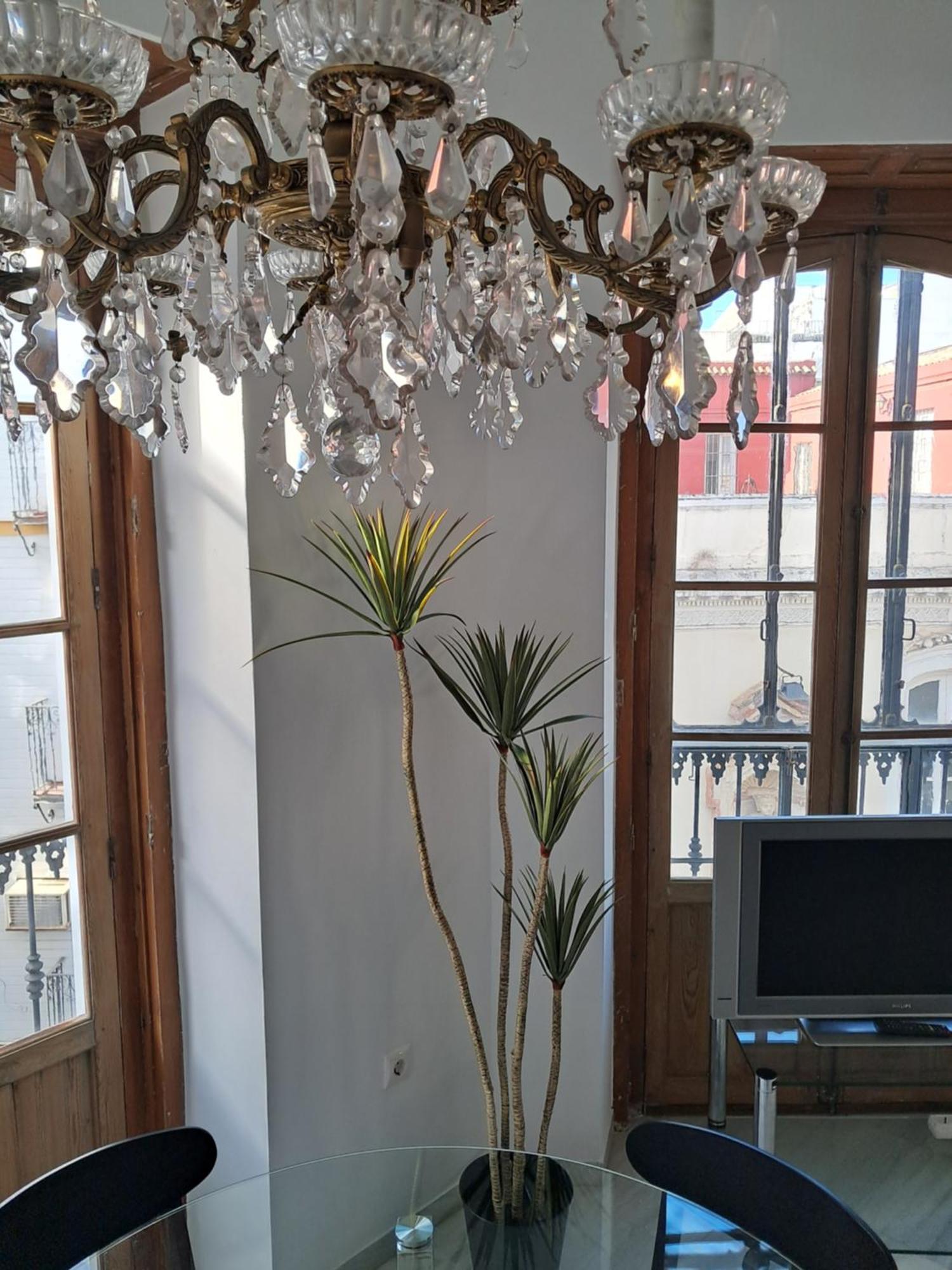 Apartamentos Almirante Hoyos Sevilla Eksteriør bilde